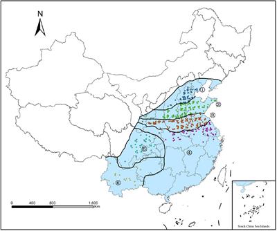 Current Situation and Key Parameters for Improving Wheat Quality in China